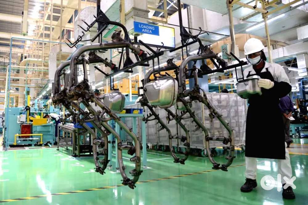 Were hiring freshers for job