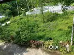 Plot for sale