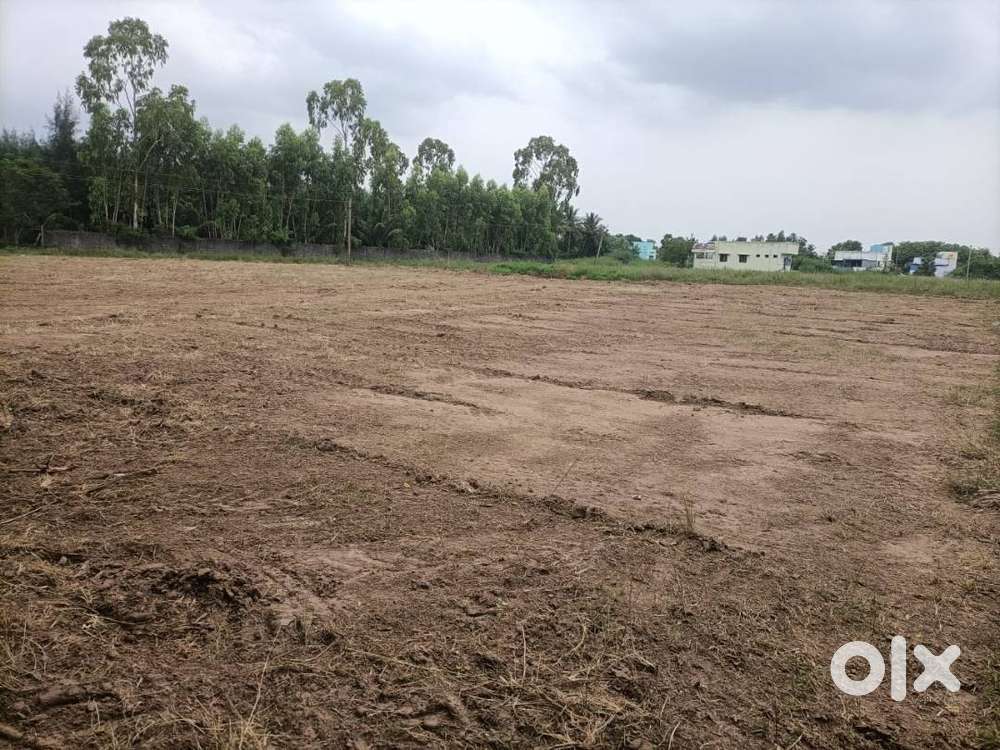 Land for rent near vandavasi new bus stand