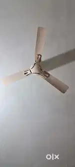 Ceiling Fan