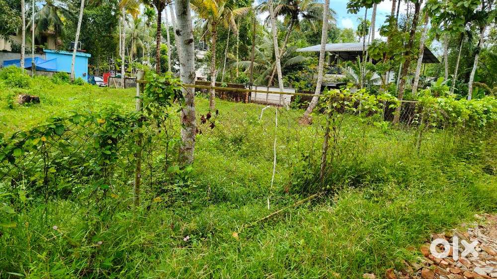 ചേപ്പാട്  40 സെൻ്റ് വിൽപ്പനക്ക്