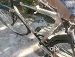 Prince strengthen bicycle