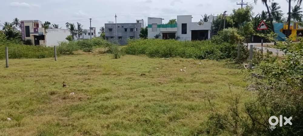 Residential plots in Reddichavadi