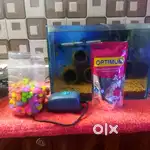 1 feet FISH TANK