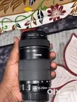 Canon EF-S 55-250mm IS STM Lens