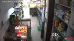 Helper for aquarium shop