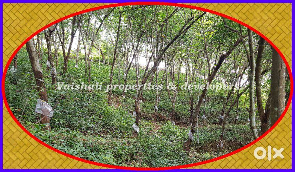 10 Acres Land for sale in near KUNNAMANGALAM @ 2 cr/Acre