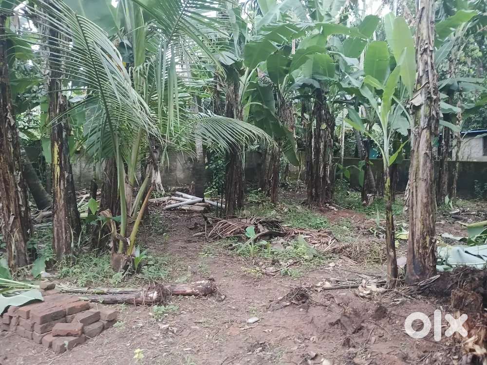 5.5 cent square plot ,near Govt ITI ,all sides covered with walls