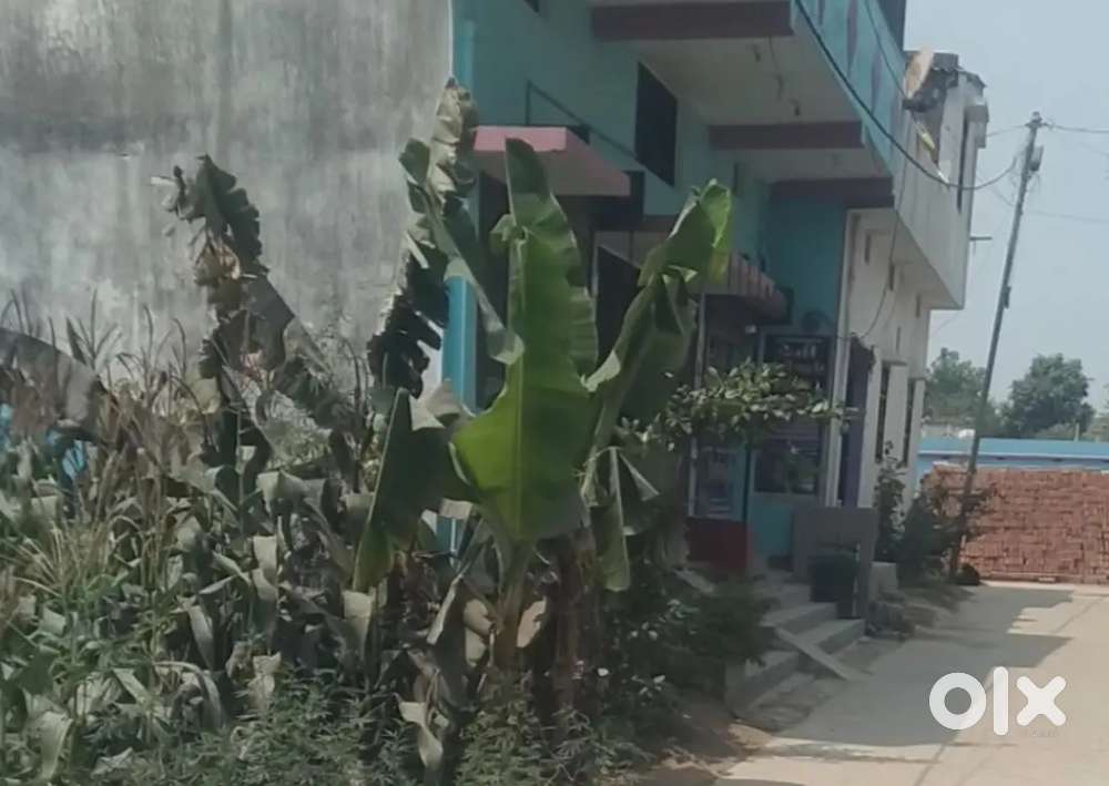 Rosera me jmin खरीदने एवं बेचने