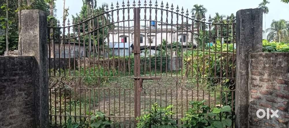 Land for sale in gutlong near dairy farm