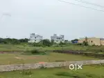 KAKUTUR 33 ANK SITE EAST FACE 12 LAKHS ONLY GOOD PRICE