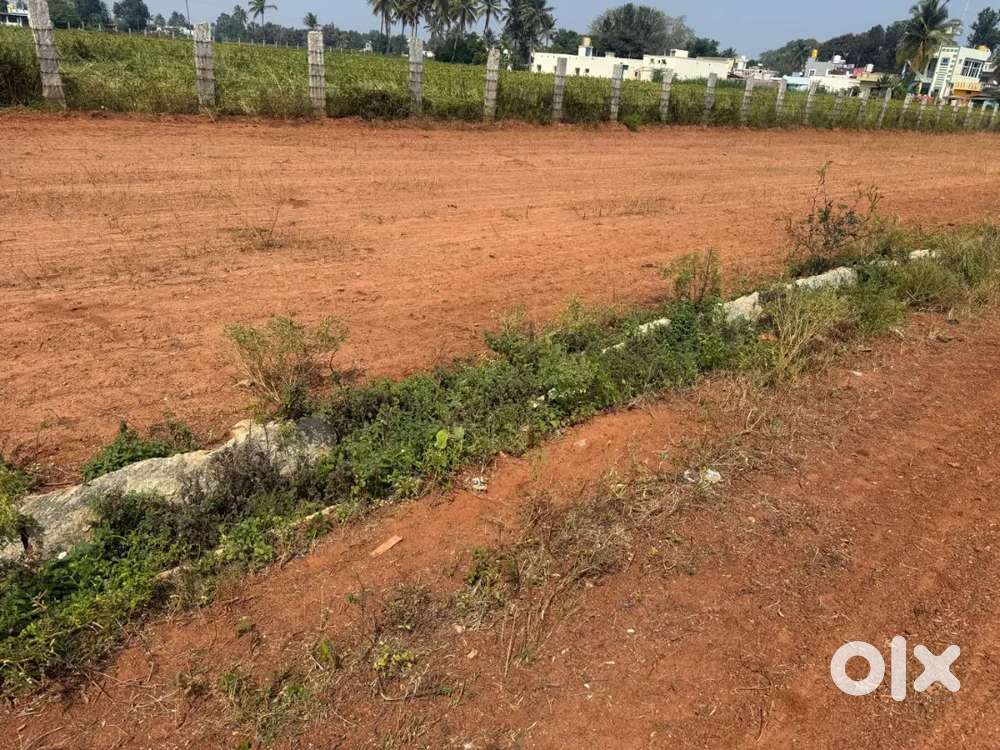 Residential Luxury plots for sale