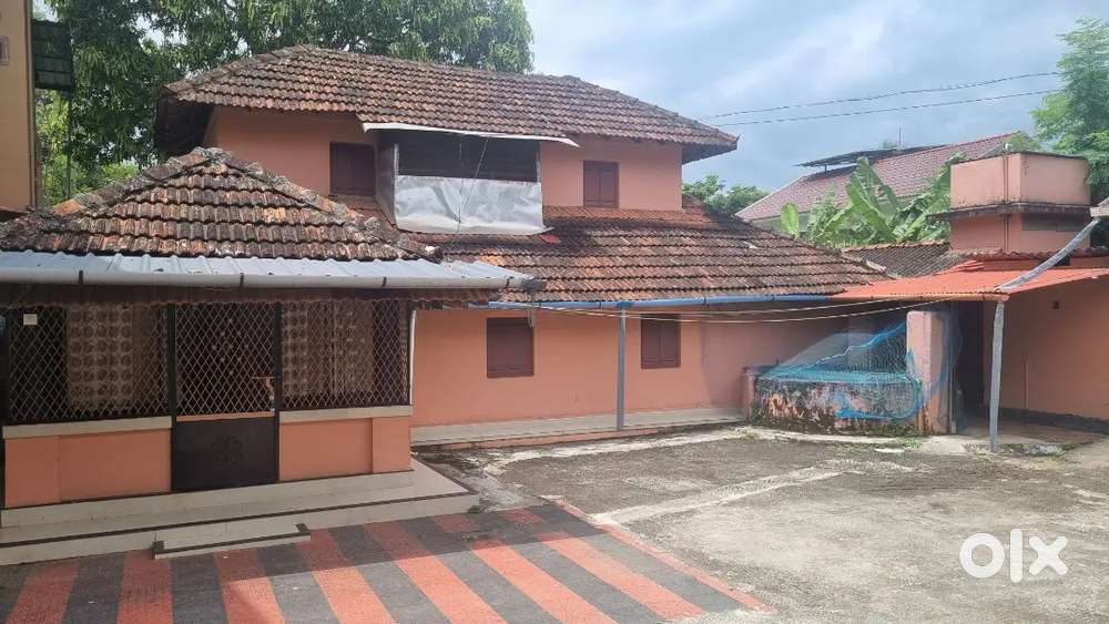 House for Rent in Nilambur town