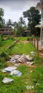 Kurathikad, Mavelikkara, Alappuzha
