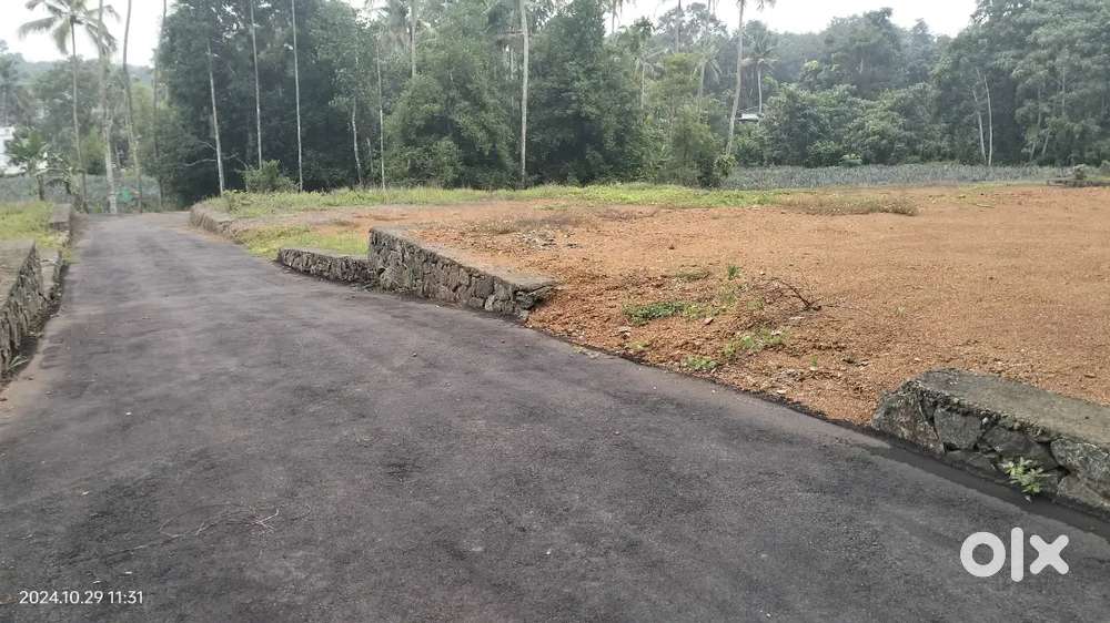 Mulamthuruthy Vettical area plot for sale