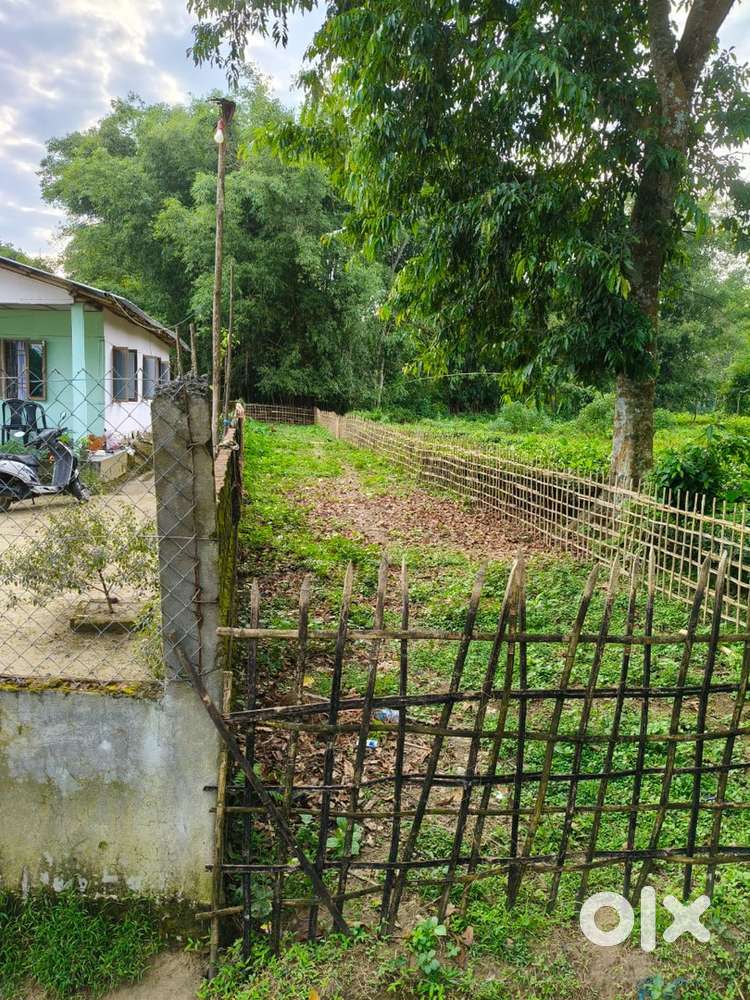 2 katha land for urgent sale near Bokpara bypass near about to 1km