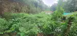 Plot for sale