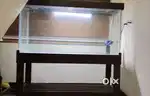 4 feet tank