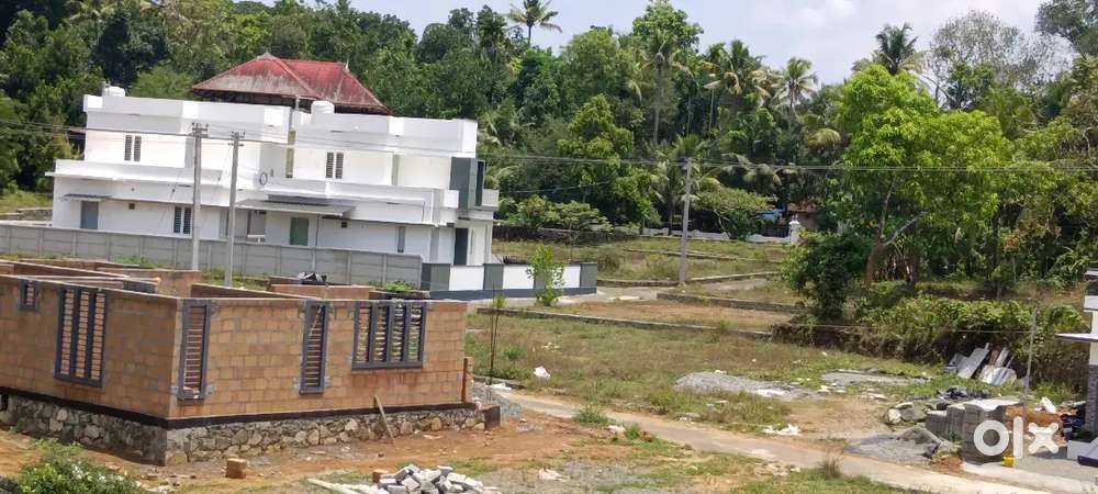 Angamaly near 5,7,8, 10 cent plots available