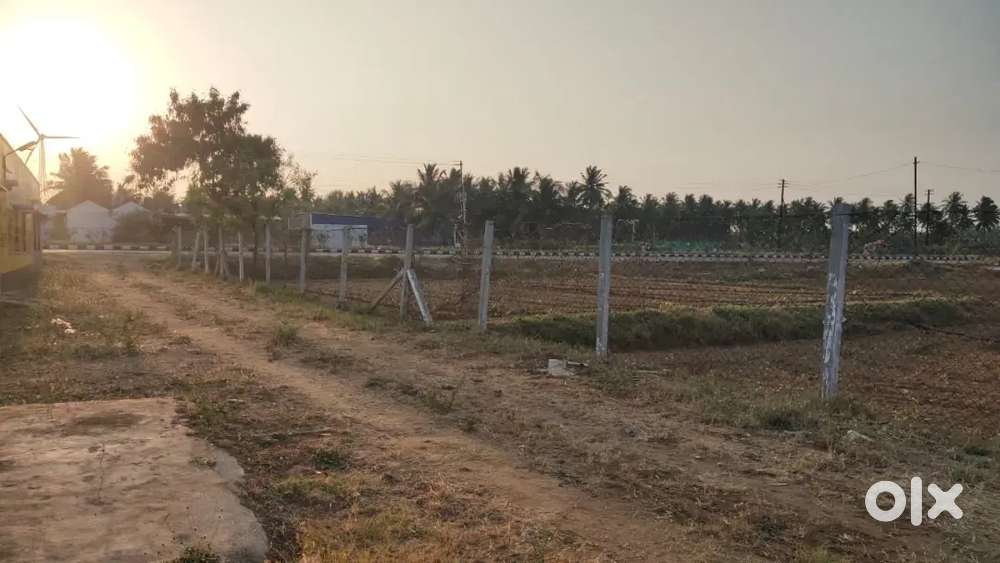 82 CENT+ 6250 SQ KUDON SALE