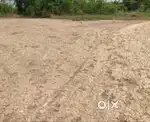 Jamin keti ki