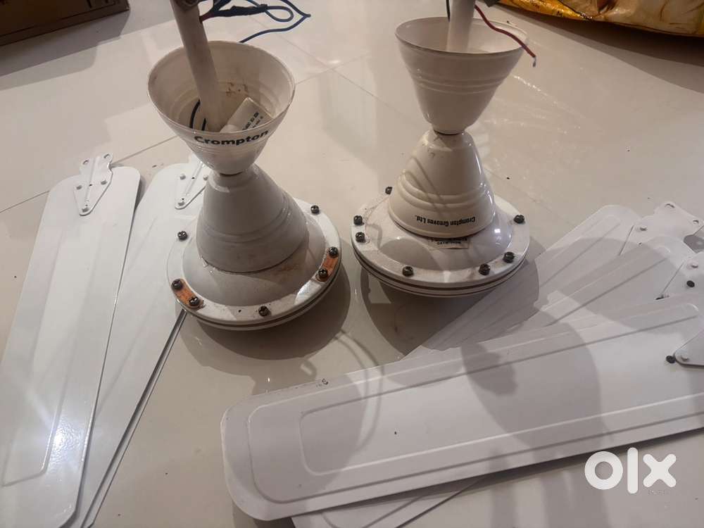 Celing fan and exhaust fan