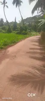 Haleangadi : 15.75 Cents Land For Sale  Rs.4.50 lakhs cents negotiable