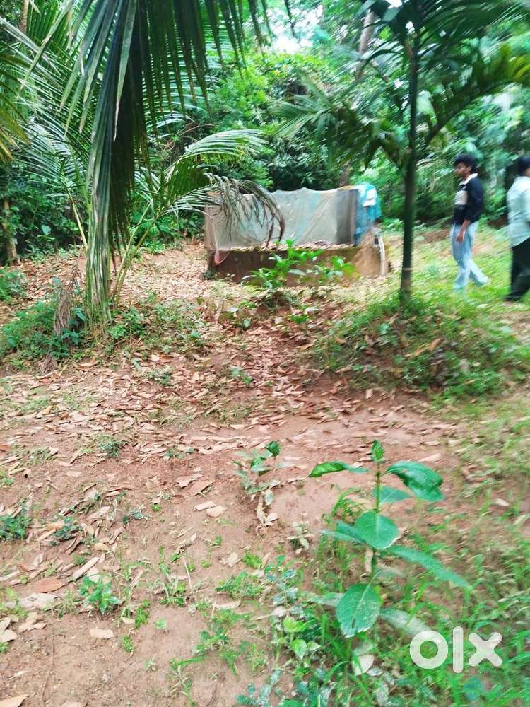 Plot for sale for house construction