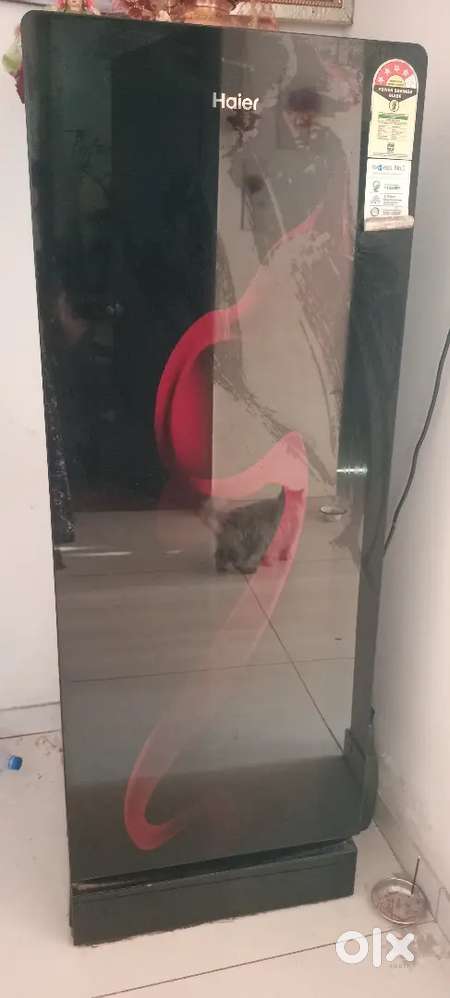 Haier  friage