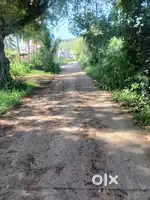 I am selling agricultural land in rayalcheruvu kalepalli village 63 ce