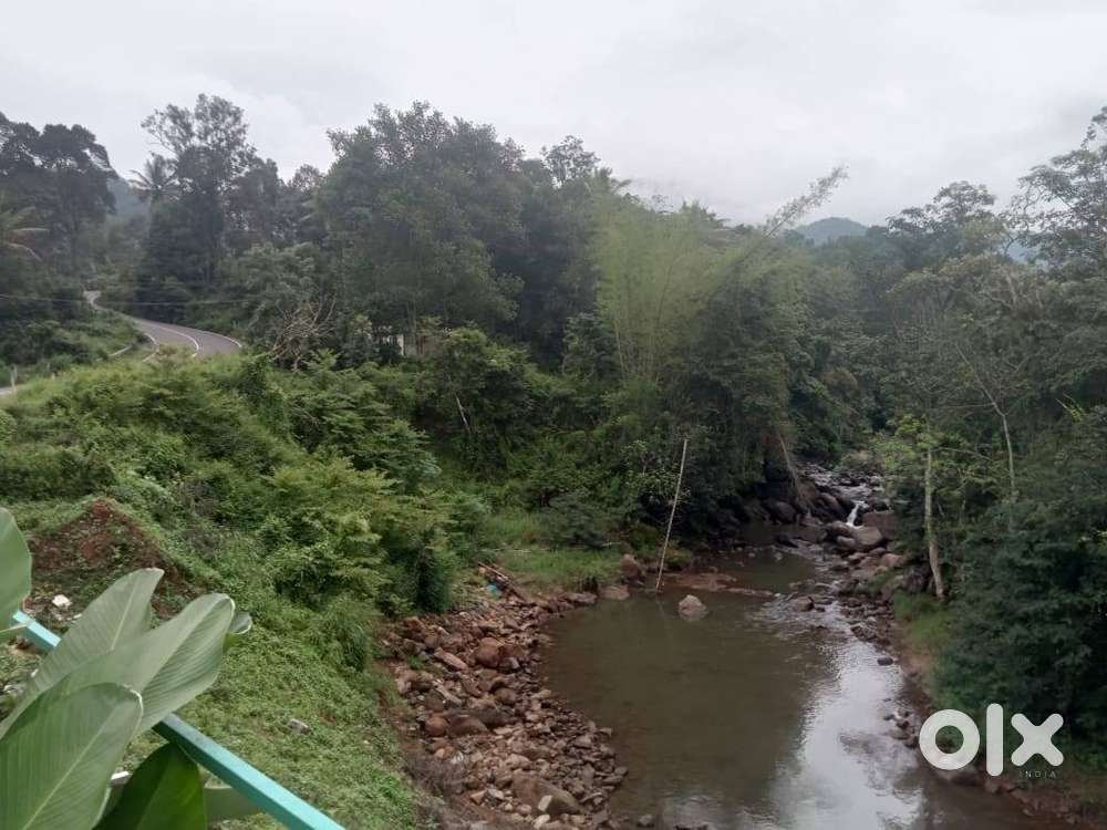 65 cents of Land in Munnar