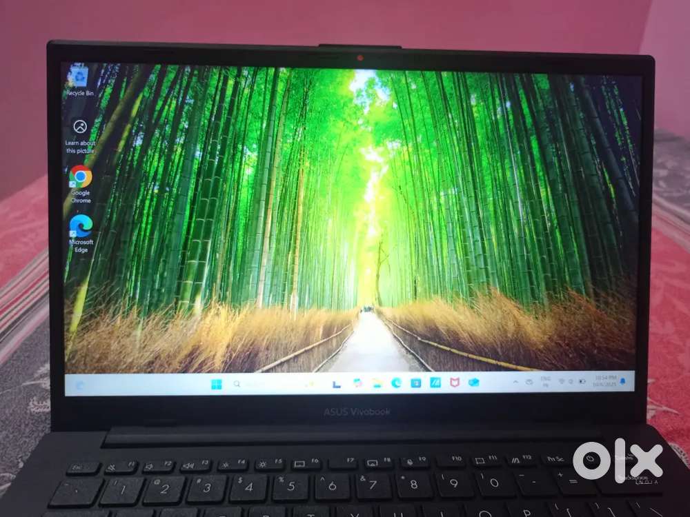 Asus vivobook go 14 laptop