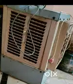 Cooler  best hai