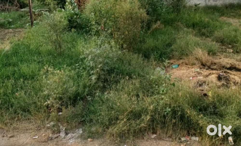 Urgent sell 80 sq yard Plot