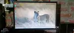 PC i5 generation new condition