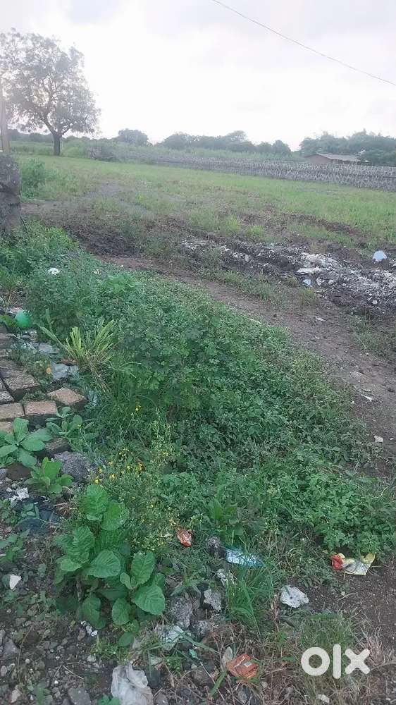 25 akh पर गुंठा
