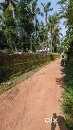 20 Cent Residential plot for sale near Kayalod Mambaram