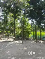 2 katha road side nagaon, kaliadinga