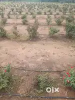 bypass near NH 44 Chikkaballapur  premium general property 2 acres