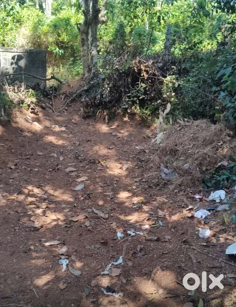 Situated in nanniyode town suitable for house,shop with road frontage