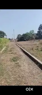 मेरा प्लाट(22×57=1237 वर्ग फ़ीट)बिकाऊ है बच्चीनवाड़ मोटाहल्दु हल्द्वानी
