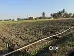 NA land for sale daund solapur highway  @56lac negotiable