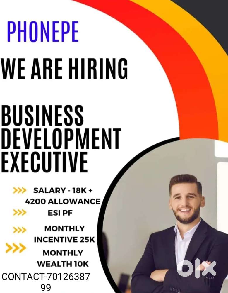 BUSINESS DEVELOPMENT EXECUTIVE