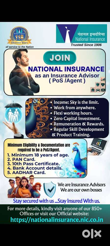 Insurance Advisor