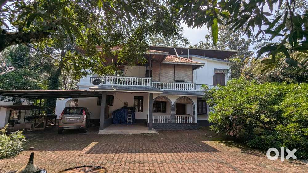 Newly Painter Independent House Ground floor for family