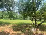 FARM LAND FOR SALE IN ALAGAR KOVIL MADURAI
