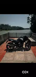 Pulsar 150