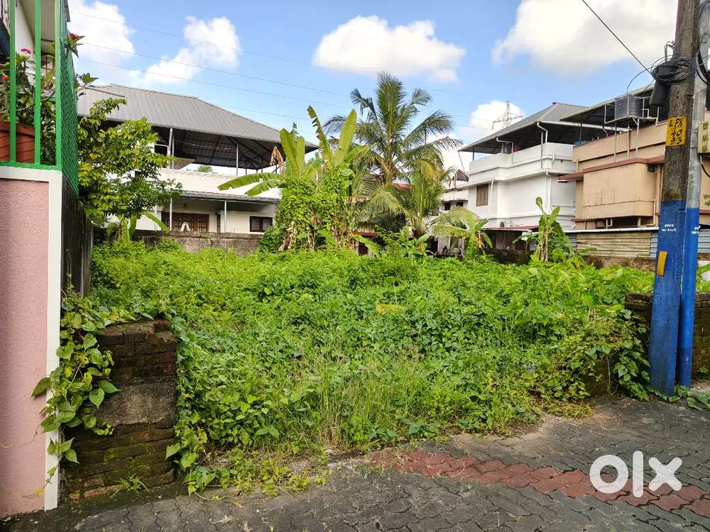 LAND PLOT 2 CENT 4 CENT AUTO NEAR BUS STOP PERANDOOR ELAMAKKARA KALOOR