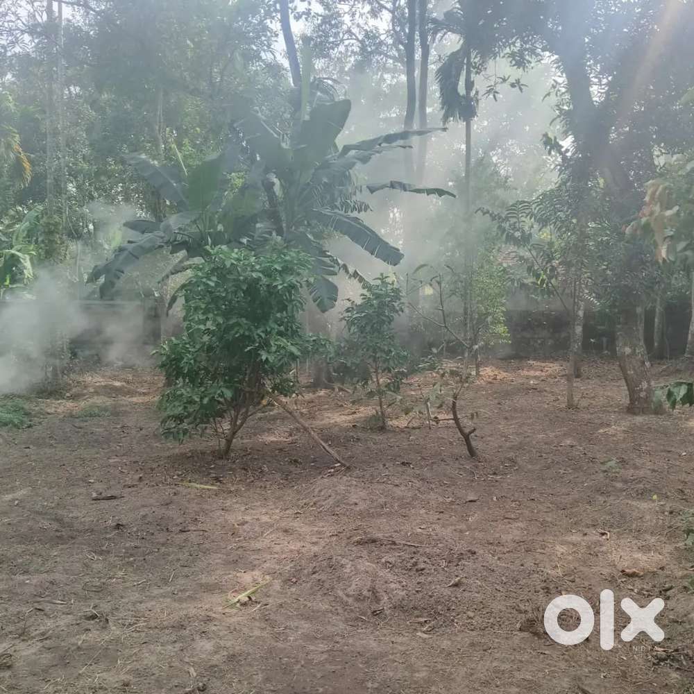 10 cent plot for sale