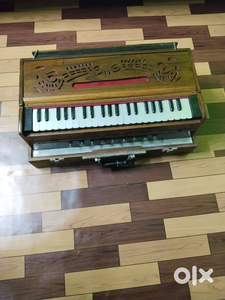 Harmonium,3year